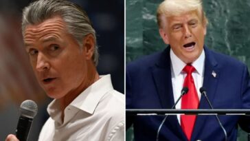 gavin-newsom-jets-to-new-york-for-un-general-assembly,-climate-week