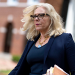 virginia-democrat-shannon-taylor-has-long-history-of-soft-on-crime-advocacy