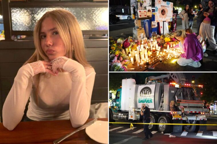 devastated-family-of-nyc-teen-killed-on-citi-bike-reflects-on-‘unimaginable-loss’