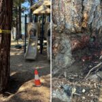 billionaire’s-playground-offers-$147k-to-unmask-mystery-poisoning-suspect