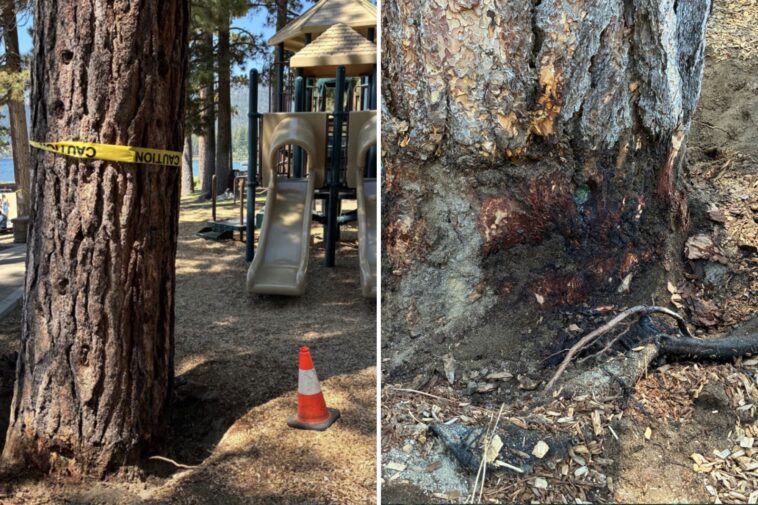 billionaire’s-playground-offers-$147k-to-unmask-mystery-poisoning-suspect