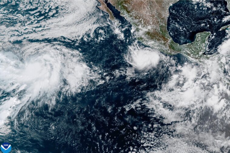 hurricane-polo-grows-into-a-category-4-storm-in-the-pacific-off-mexico