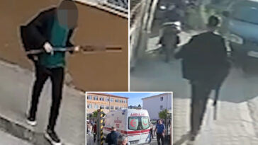 turkish-high-school-student-injures-11-pupils-in-shooting:-report