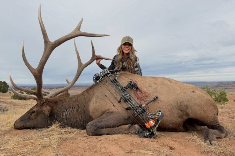 kristi-noem-poses-with-massive-dead-elk-in-graphic-bow-hunting-photos