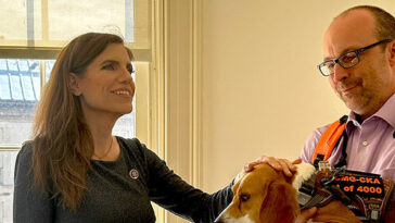 exclusive-–-nancy-mace-introduces-bill-to-stop-companies-from-breeding,-selling-dogs-for-experimentation