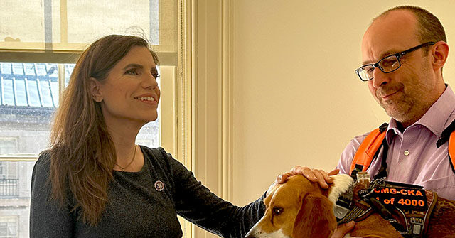 exclusive-–-nancy-mace-introduces-bill-to-stop-companies-from-breeding,-selling-dogs-for-experimentation