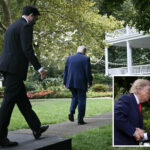 lip-reader-reveals-trump’s-surprising-offer-to-mamdani-after-their-nyc-meeting