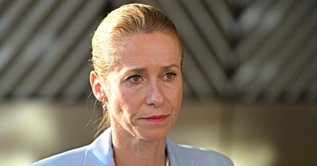 eu.’s-top-diplomat-says-red-sea-mission-needs-more-warships-amid-rising-houthi-attacks
