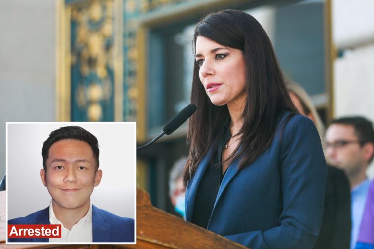 news-anchor-turned-california-democrat-busted-in-ice-operation