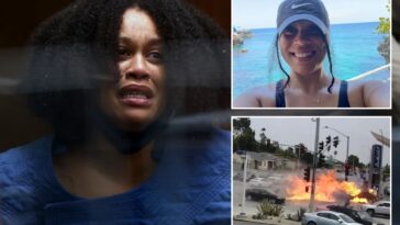 naked-video-call-and-bizarre-will-smith-claim-before-fiery-crash-that-killed-six-revealed-in-tearful-testimony
