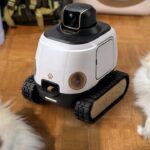 ai-robot-may-stop-your-dog-from-barking-while-you’re-gone