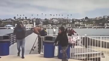watch:-rich-ca-dems-get-taste-of-own-medicine-as-boat-quietly-docks-and-suspected-illegals-suddenly-hop-out,-melt-into-neighborhood