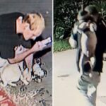 vile-moment-sicko-abuses-his-tiny-pug-at-posh-california-marina