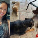 florida-mom-accused-of-having-sex-with-her-dog-claims-she-was-framed-by-vengeful-ex-—-as-friends-launch-fundraiser