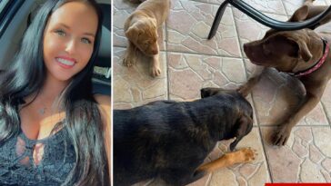 florida-mom-accused-of-having-sex-with-her-dog-claims-she-was-framed-by-vengeful-ex-—-as-friends-launch-fundraiser