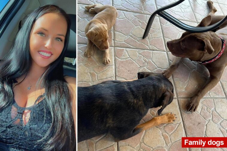 florida-mom-accused-of-having-sex-with-her-dog-claims-she-was-framed-by-vengeful-ex-—-as-friends-launch-fundraiser