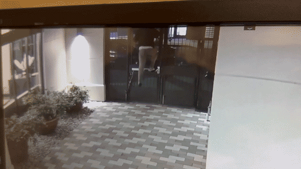 man-scales-locked-gate-in-chilling-video-after-allegedly-chasing-college-student-home,-then-walks-free:-police
