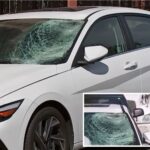nyc-man,-68,-killed-in-possible-lamborghini-hit-and-run