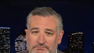 ted-cruz-says-midterms-‘entirely-a-question-of-turnout,’-predicts-the-left-will-turn-out