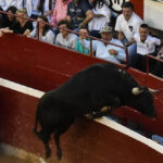 watch:-1,100-pound-bull-jumps-over-barrier,-almost-gores-fans-at-spanish-bullfighting-fair