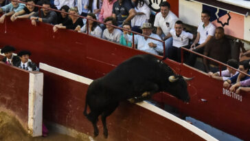 watch:-1,100-pound-bull-jumps-over-barrier,-almost-gores-fans-at-spanish-bullfighting-fair