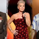 javier-bardem-slammed-for-targeting-pink-over-macklemore-comments:-‘the-left-is-eating-itself’