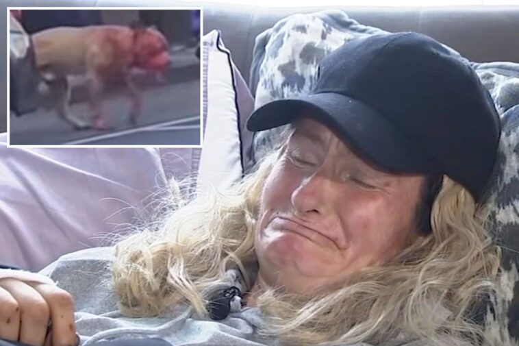 woman-horrifically-mauled-by-massive-pit-bull-in-san-francisco-reveals-what-really-sparked-attack