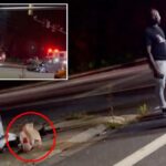 maryland-doordash-customer-picks-up-order-from-driver-at-crash-scene:-‘i-think-that’s-my-food-right-there’