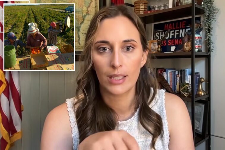 arkansas-dem-senate-candidate-faces-fury-for-suggesting-illegal-migrants-should-replace-american-workers