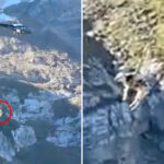 wild-moment-a-trapped-cow-is-airlifted-from-french-mountain-after-getting-stuck-in-mud