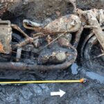 mystery-surrounds-german-soldiers-found-near-mud-covered-wwii-motorcycle-in-danube