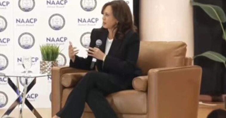 oops:-kamala-harris-says-the-quiet-part-out-loud-as-she-whines-about-republican-efforts-to-ensure-fair-elections-(video)