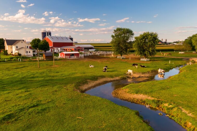 farmers-offering-on-site-vacation-rentals,-turning-to-tourism-to-combat-rising-costs-of-agricultural-operations