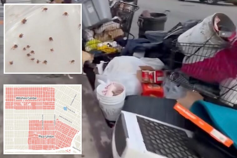 outbreak-of-gross-medieval-disease-sends-six-people-to-hospital-in-la-neighborhood