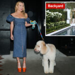 hamptons-fitness-guru-tracy-anderson’s-poodles-viciously-attack-elderly-neighbor-after-they-escape