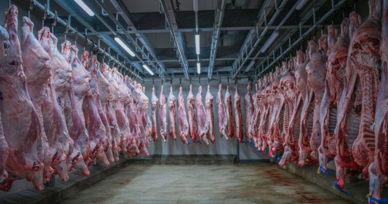 check-your-kitchen:-tons-of-beef,-pork-recalled-over-fake-usda-inspection-stamps
