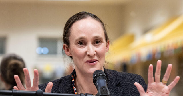 city-funded-security-guards-for-seattle-grocery-stores-will-likely-only-‘observe’-theft,-critics-say