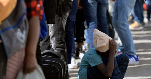 report-exposes-california’s-$11b-‘shadow-welfare-system’-for-illegals
