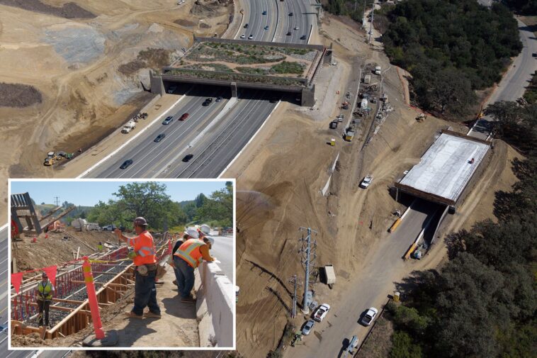 wildlife-crossing-over-101-looks-nowhere-near-finished-as-opening-looms