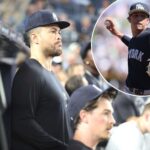 giancarlo-stanton-and-carlos-lagrange-among-rehabbing-yankees-vying-for-playoff-returns