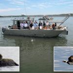 long-island-sound-shows-signs-of-a-comeback-as-water-quality-continues-to-improve