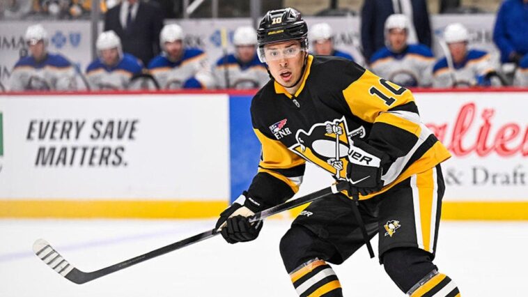penguins-forward-andrei-kuzmenko’s-father-killed-in-bear-attack-on-remote-russia-fishing-trip