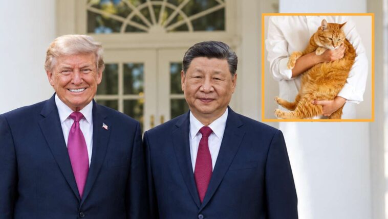 trump-prepares-for-dinner-with-president-xi-by-ordering-servants-to-slaughter-the-fattened-cat