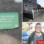 ‘nervous’-residents-of-one-nyc-nabe-say-new,-city-planted-trees-will-ruin-area’s-feng-shui,-bring-‘bad-luck’