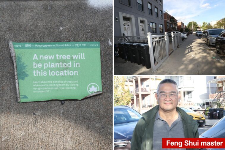 ‘nervous’-residents-of-one-nyc-nabe-say-new,-city-planted-trees-will-ruin-area’s-feng-shui,-bring-‘bad-luck’