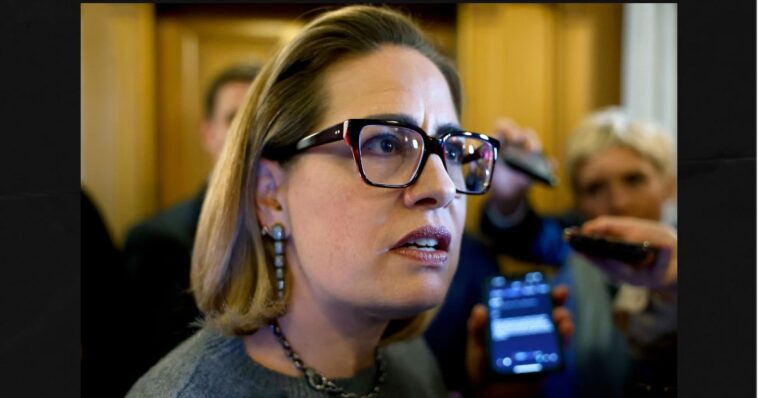 ‘homewrecker’-kyrsten-sinema-gets-taste-of-own-medicine-as-ex-bodyguard-boyfriend-wrecked-her-home,-destroyed-$120k-of-art,-alcohol:-cops