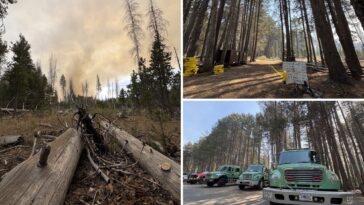 wildfire-closes-road-to-iconic-yosemite-viewpoint