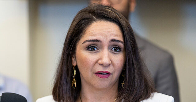 ‘latino-power’:-rep.-delia-ramirez-wants-to-abolish-dhs,-create-‘community-safety’-immigration-agency