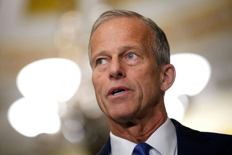 pro-trump-billionaire-holds-back-senate-donations-over-failure-to-pass-save-america-act