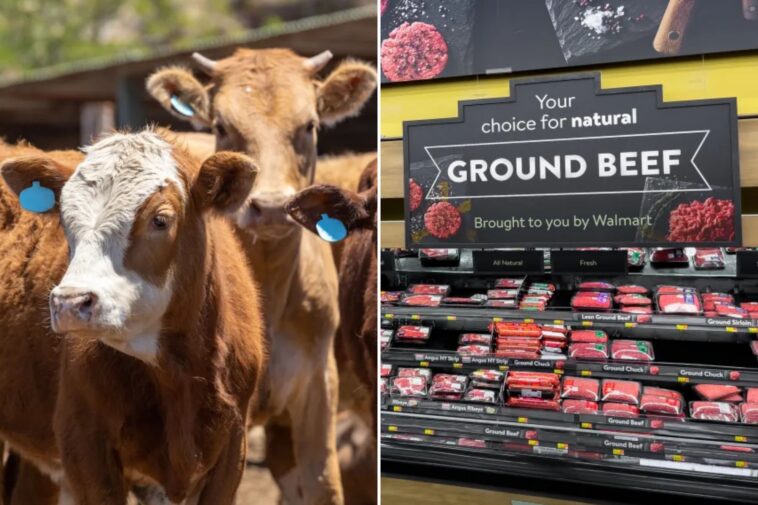 us-beef-supply-plummets-as-cattle-farmer-warns-‘the-numbers-are-just-not-here-anymore’